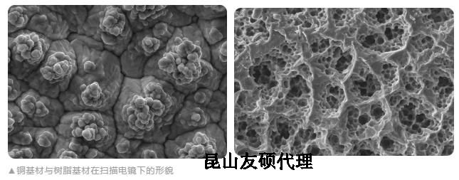 德宏蔡司德宏扫描电镜